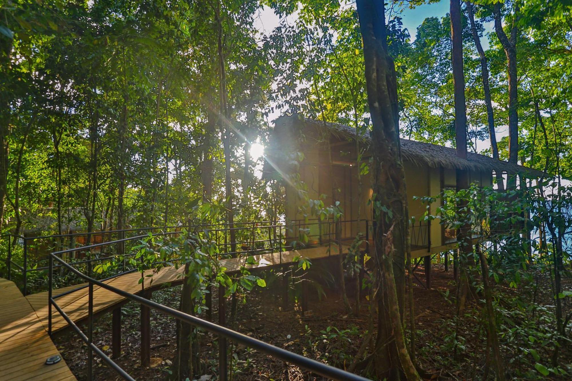 Corcovado Wilderness Lodge By Scp San Pedrillo المظهر الخارجي الصورة