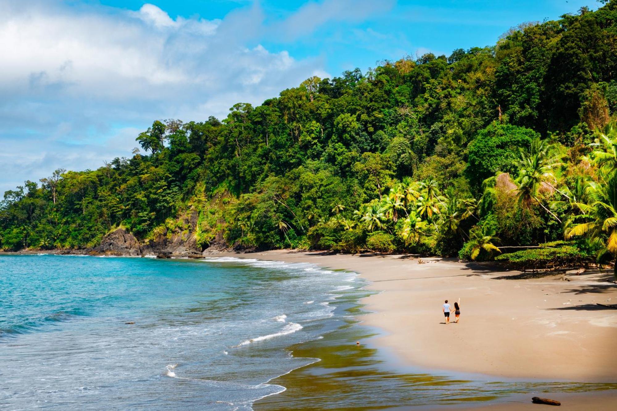 Corcovado Wilderness Lodge By Scp San Pedrillo المظهر الخارجي الصورة