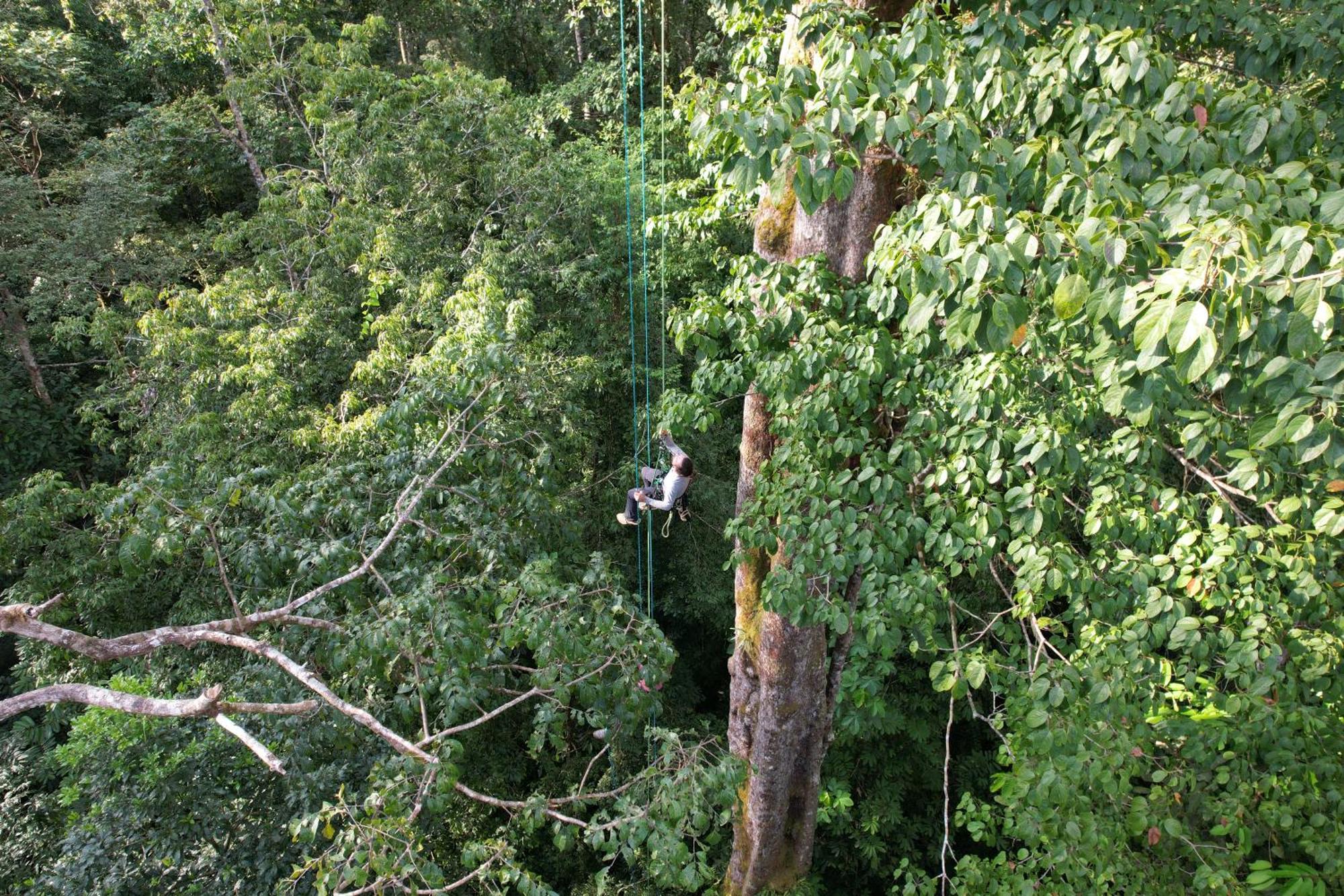 Corcovado Wilderness Lodge By Scp San Pedrillo المظهر الخارجي الصورة