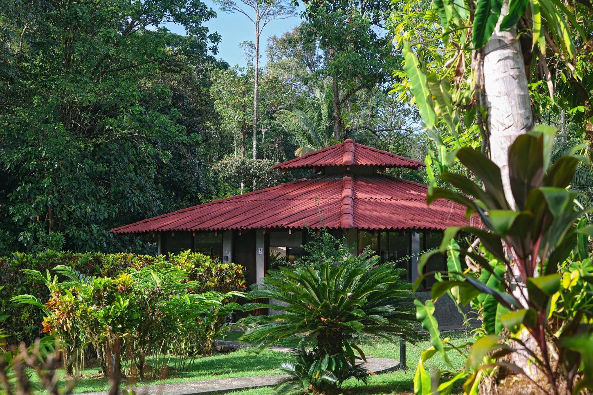 Corcovado Wilderness Lodge By Scp San Pedrillo المظهر الخارجي الصورة